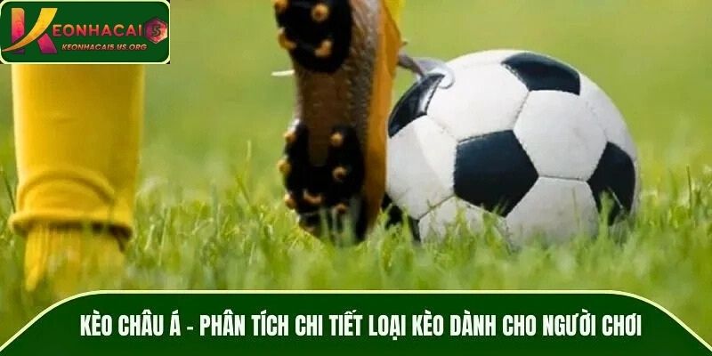 Kèo Châu Á – Phân Tích Chi Tiết Loại Kèo Dành Cho Người Chơi